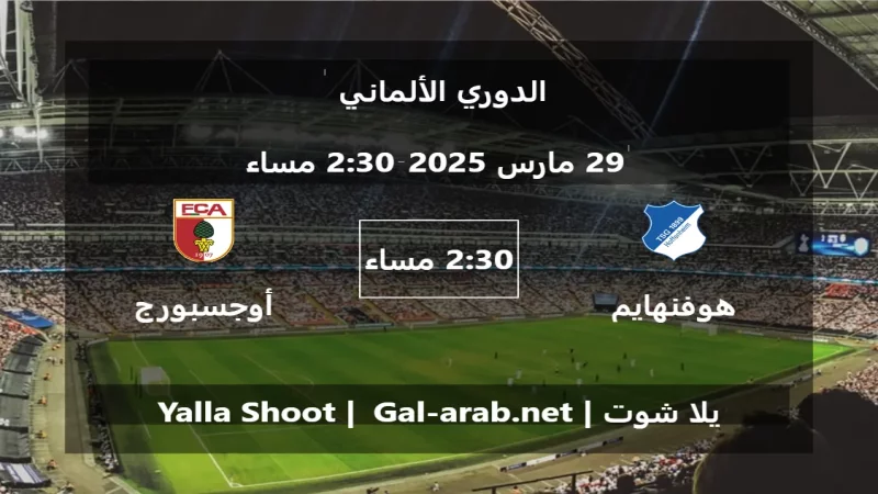 مباراة هوفنهايم 1899 و أوجسبورج - الدوري الألماني