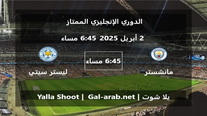مباراة مانشستر سيتي و ليستر سيتي - الدوري الإنجليزي الممتاز