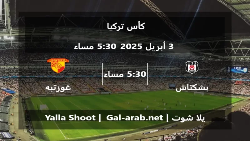 مباراة بشكتاش و غوزتبه - كأس تركيا